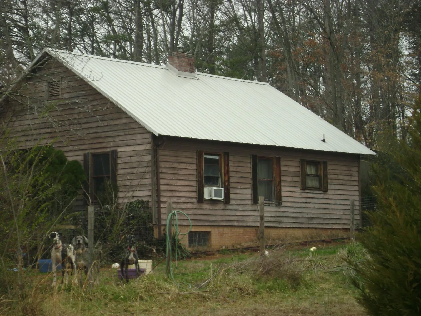 White metal roof on an old wood sided farmhouse, from a Asphalt Shingle Roof Repair job in Aurora